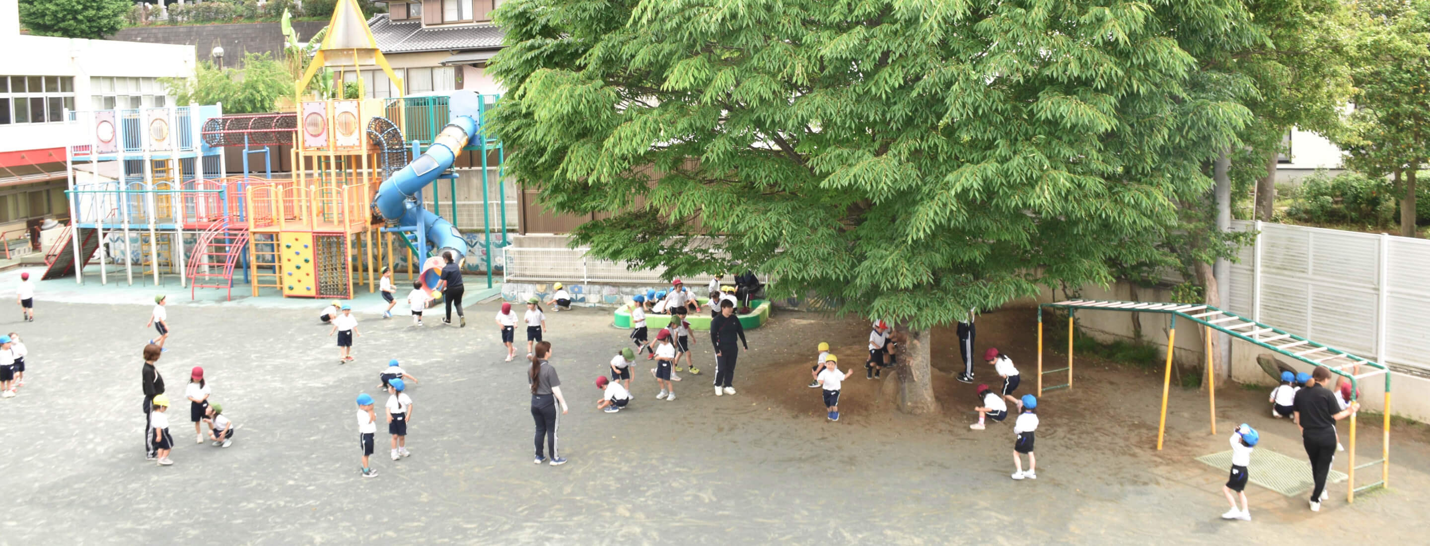 園のご紹介